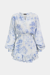 Floral Print V-Neck Ruffle Hem Long Sleeve Mini Dress