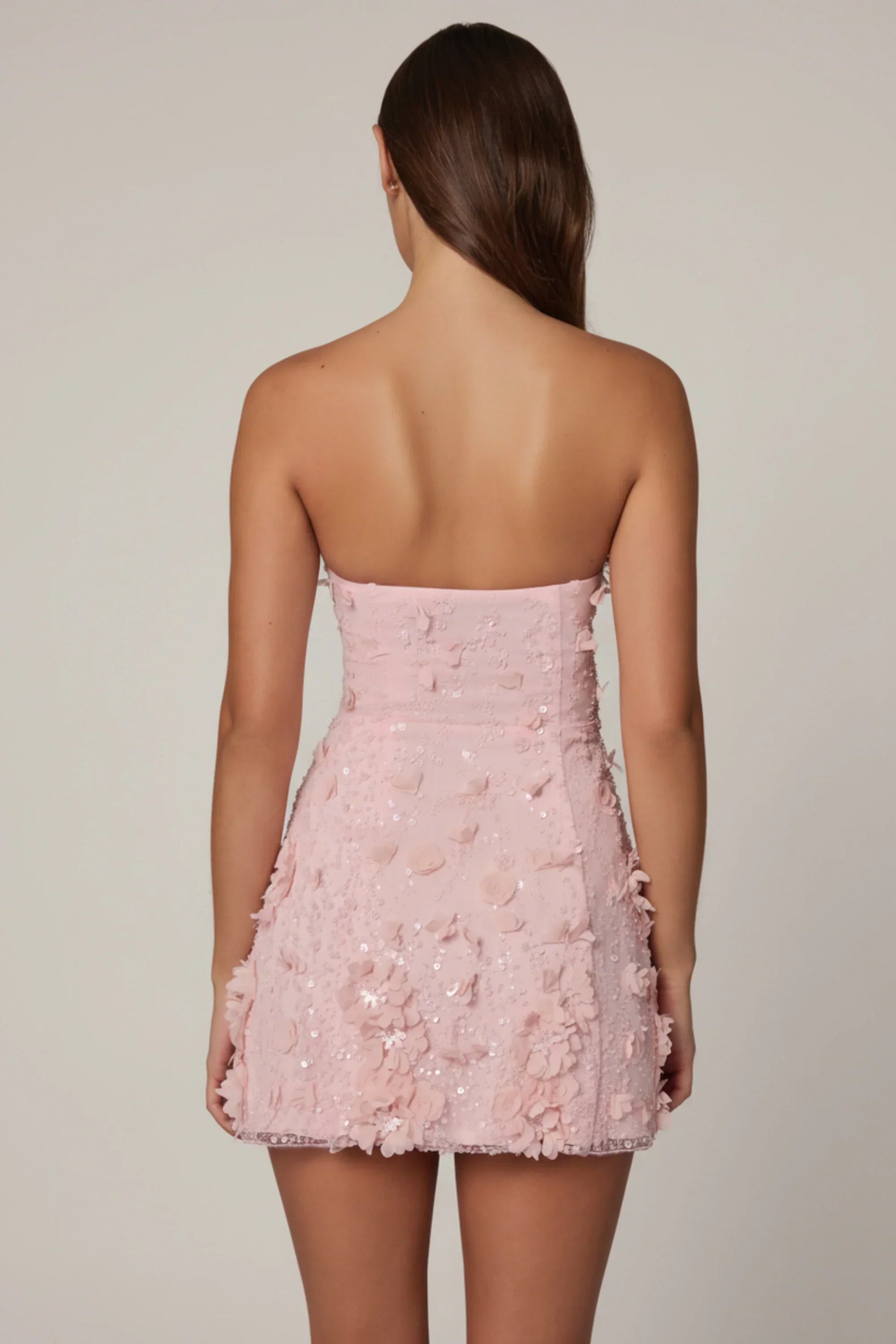 Embellished Bandeau A-line Mini Dress in Ballet Pink